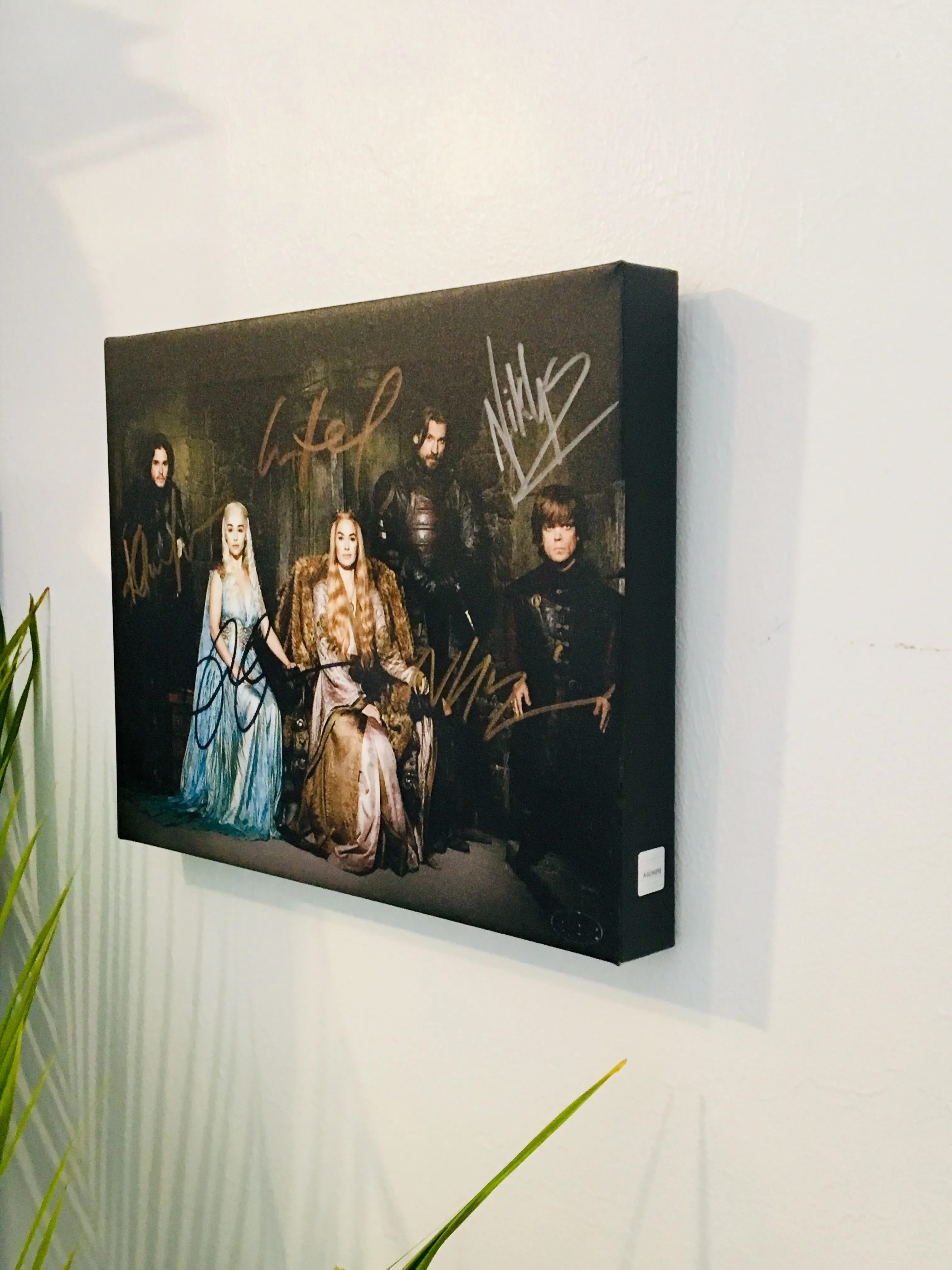 Game of Thrones Cast Facsimile Autograph 11x14 Canvas Print Wall Art