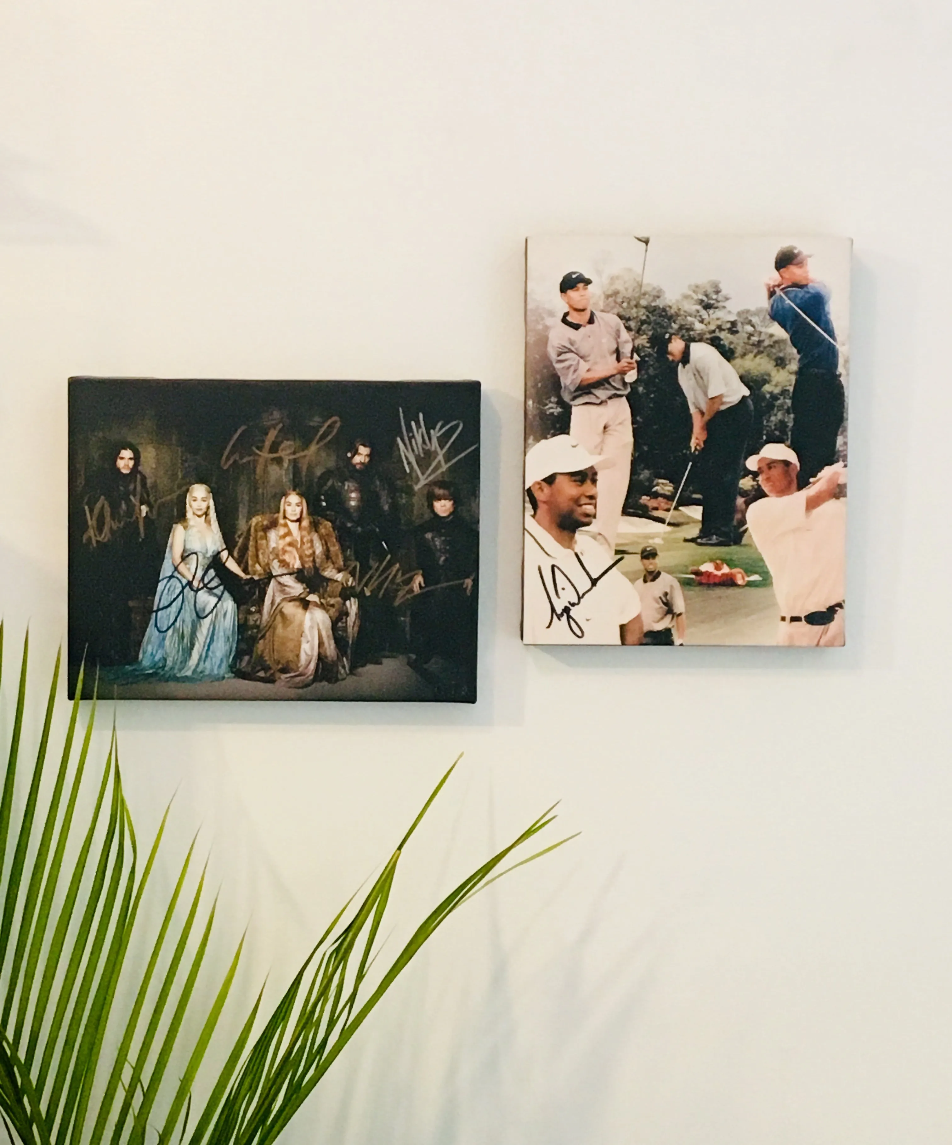 Game of Thrones Cast Facsimile Autograph 11x14 Canvas Print Wall Art